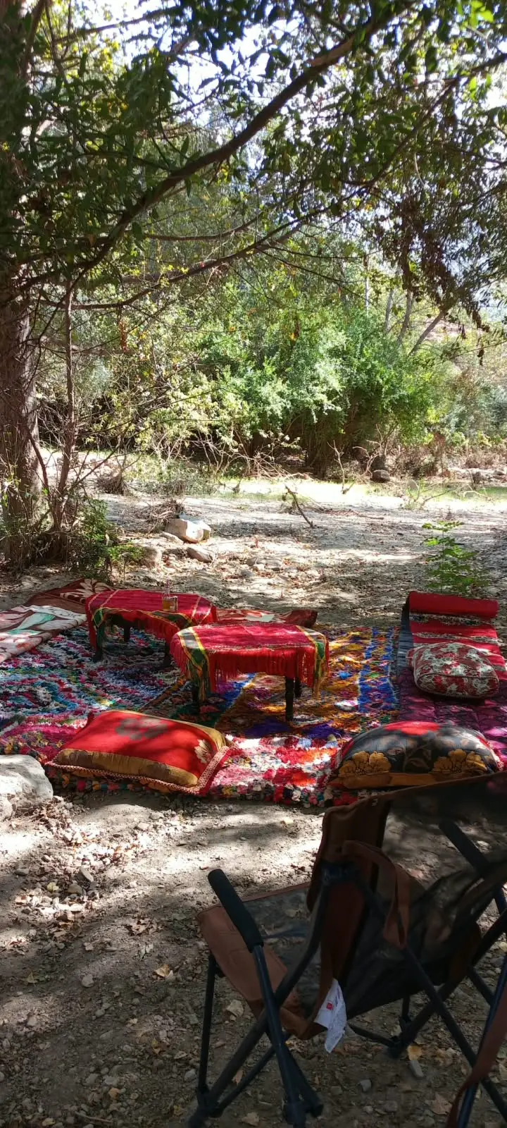 Tapis, coussins et tables basses installés sous les arbres