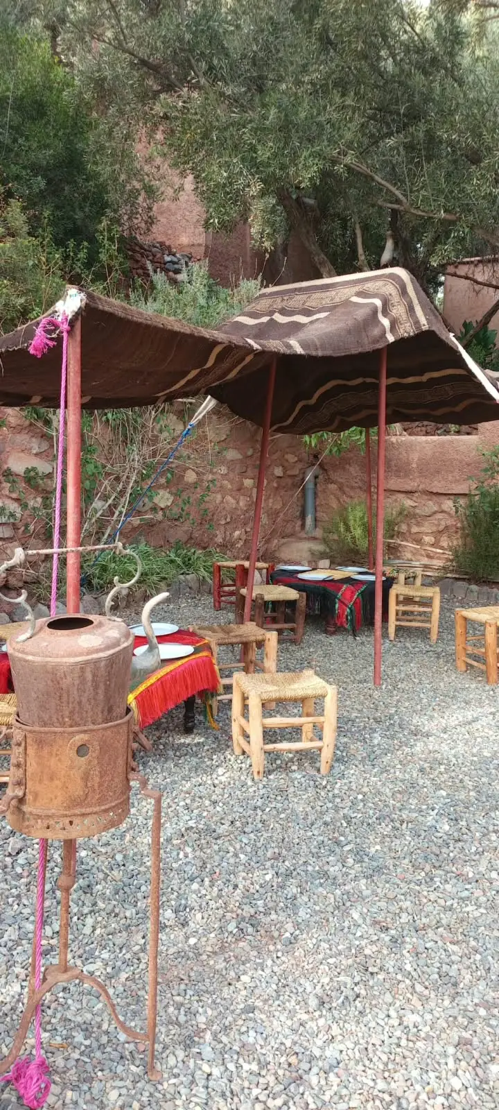Tente traditionnelle et tables basses dans un jardin ombragé