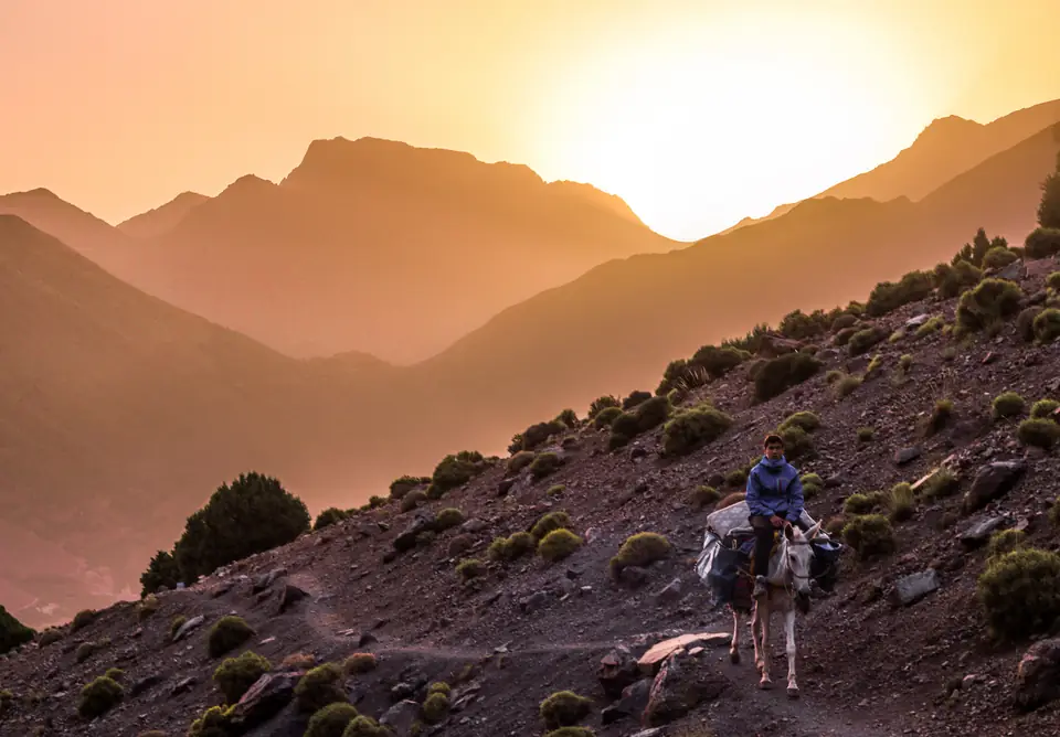 Cavalier à dos de mule sur un sentier de montagne au coucher du soleil, dans la région du parc national du Toubkal