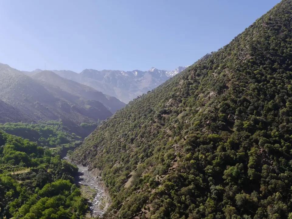 Vallée encaissée aux versants boisés, avec des sommets au loin